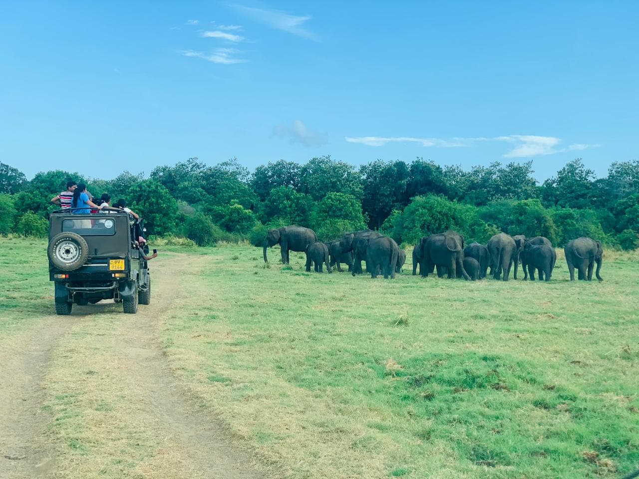 Habarana Safari Tour – Minneriya & Kaudulla Nationalpark