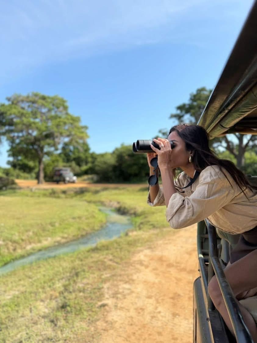 habarana safari jeep