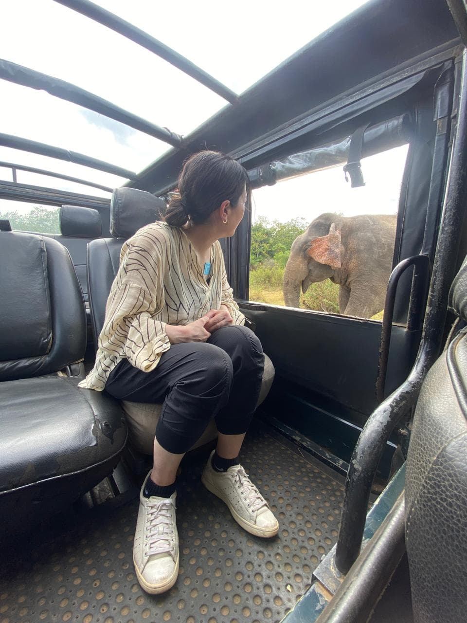 Minneriya Elephant Jeep Safari