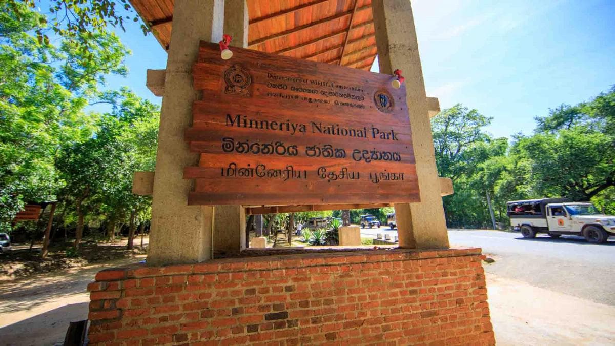 minneriya national park