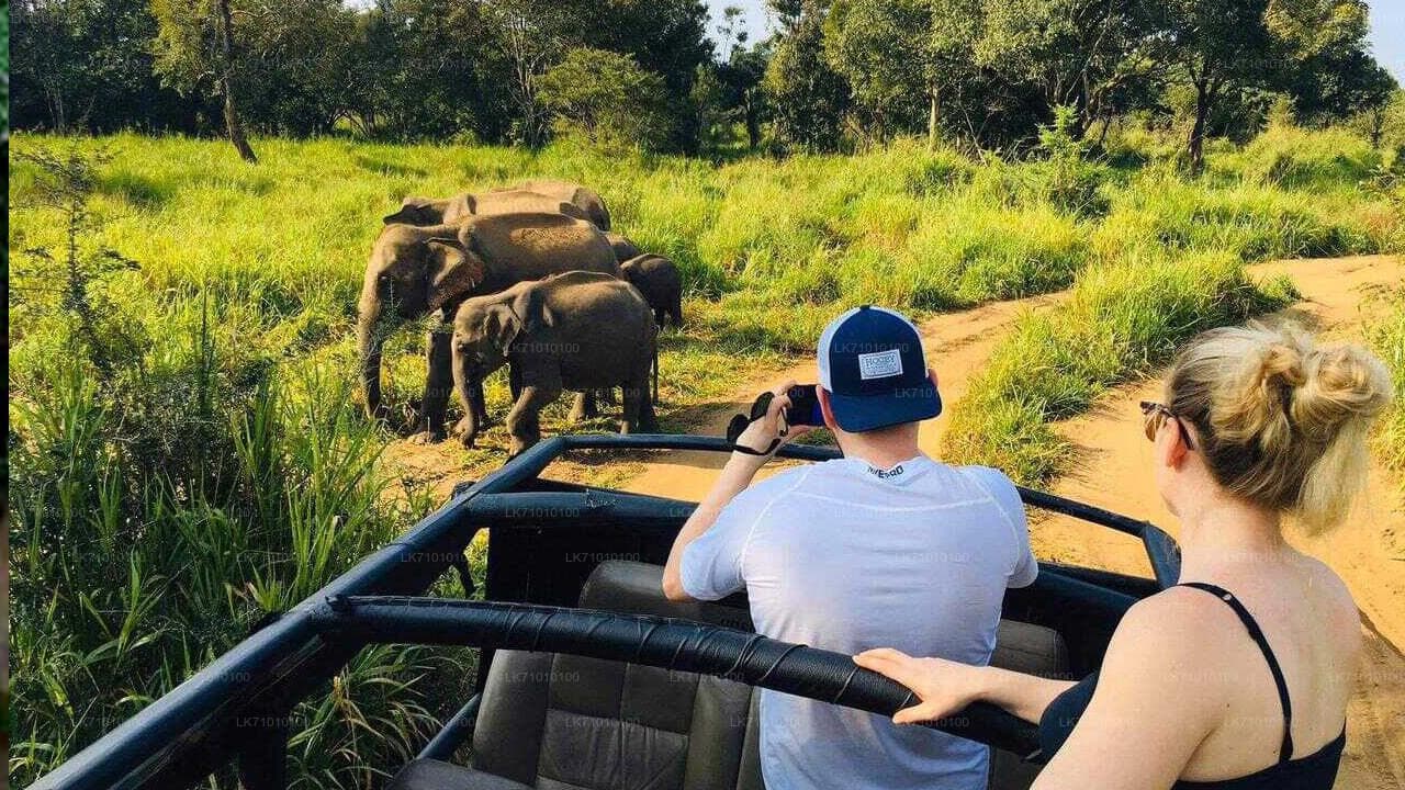 Habarana jeep safari